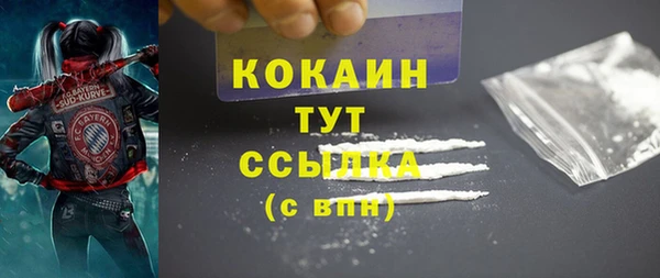 гидропоника Инта