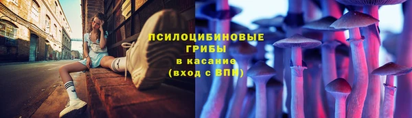 спиды Иннополис