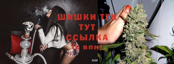 гидропоника Инта