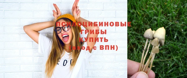 спиды Иннополис